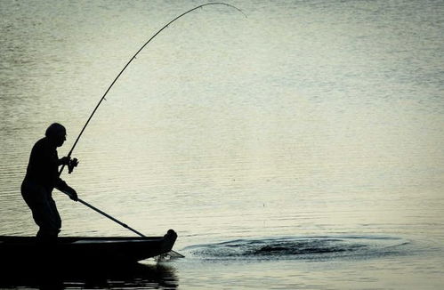 釣魚佬絕不空軍 去釣魚反被獎(jiǎng)勵(lì)600元