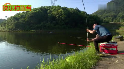 野河邊垂釣,魚竿超級(jí)大彎弓,大草魚連魚護(hù)都裝不下 1